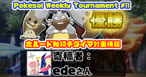 ポケモンソルジャー ポケソル