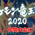 ポケモン剣盾 努力値調整を考えるために絶対に覚えておくべき基礎知識 ポケモンソルジャー ポケソル